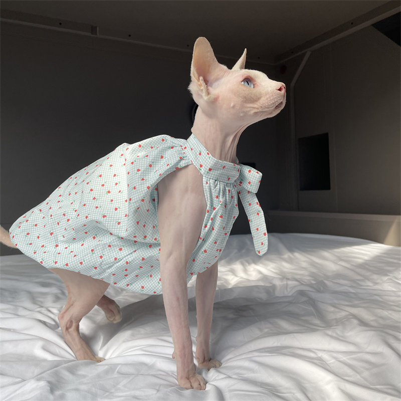 Cat Clothing in Summer Sweet L - Summer Light Clothing ulasan dan harga