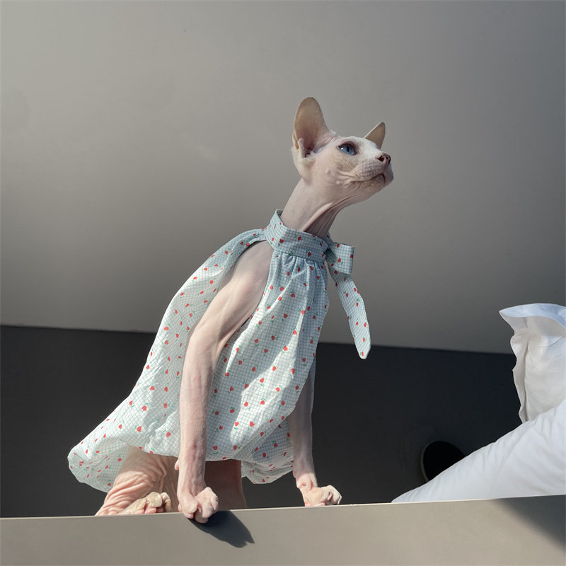 Cat Clothing in Summer Sweet L - Summer Light Clothing ulasan dan harga
