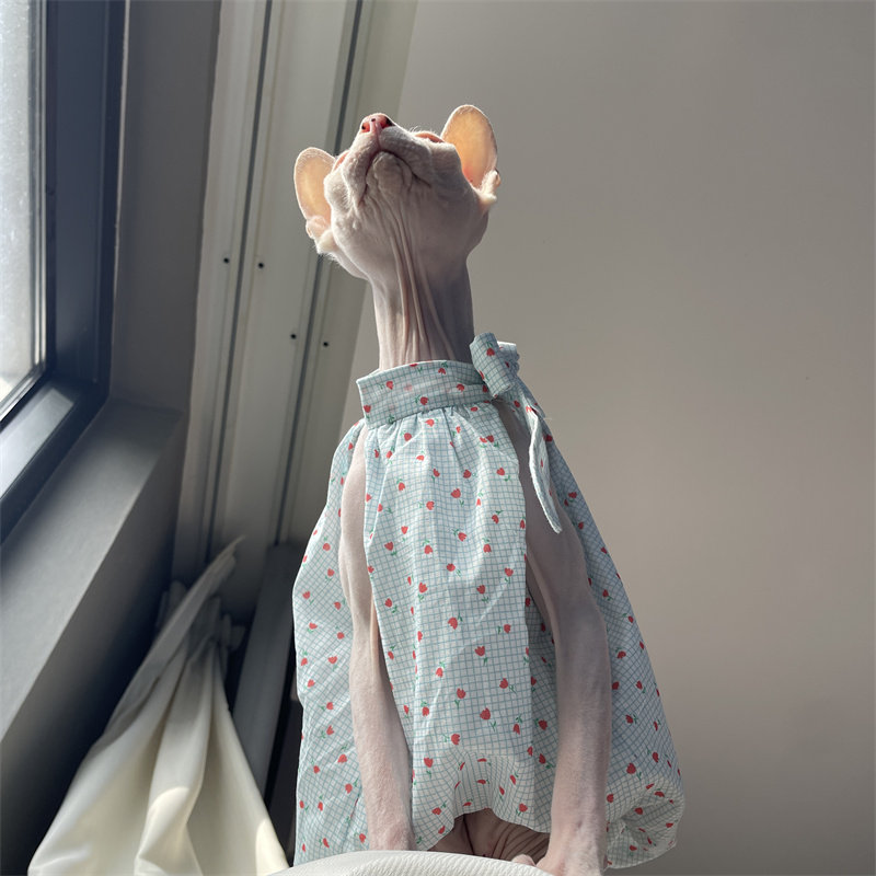 Cat Clothing in Summer Sweet L - Summer Light Clothing ulasan dan harga
